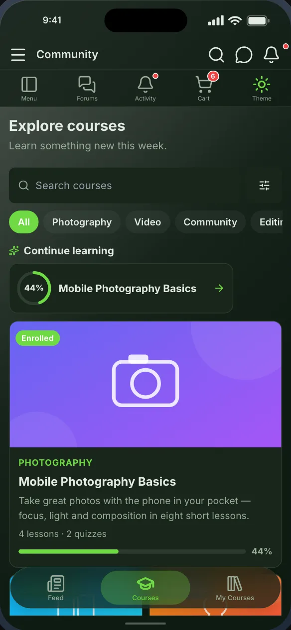 The course catalogue, with a course in progress, category chips and a progress bar on each course